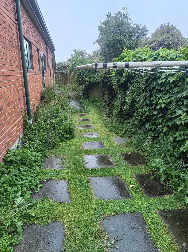 A paver path down the side of a house overgrown with grass and weeds