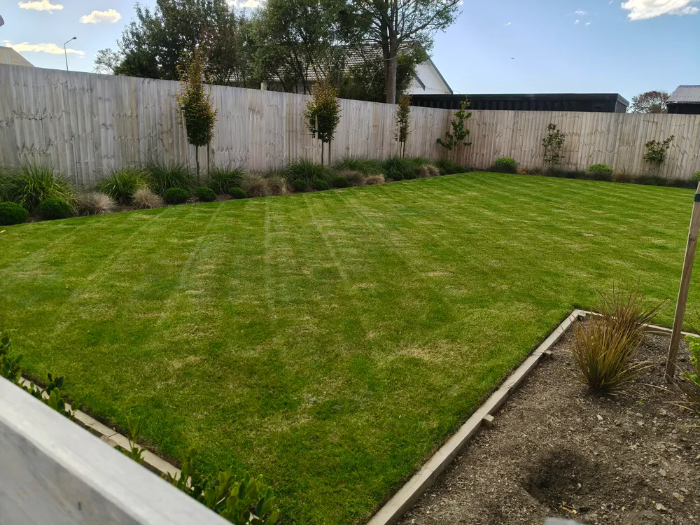 A neatly mowed back lawn inside a timber fence in Christchurch