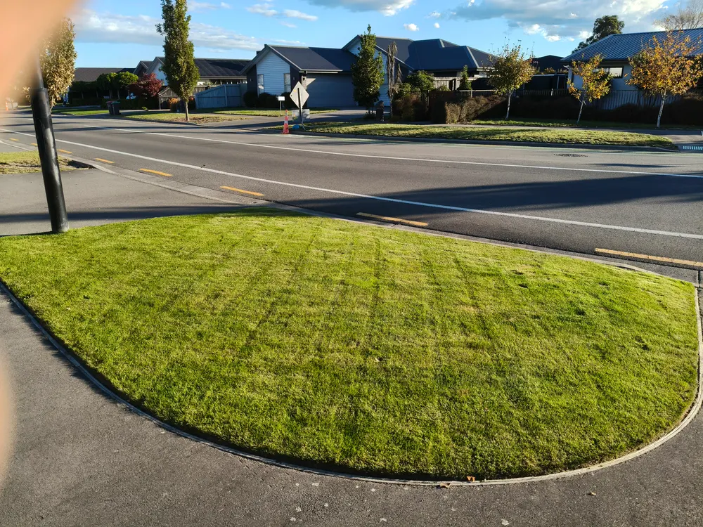 A street berm mowed and edged in front of a Christchurch home