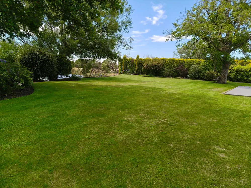 A large, freshly mowed lawn under mature trees in Christchurch