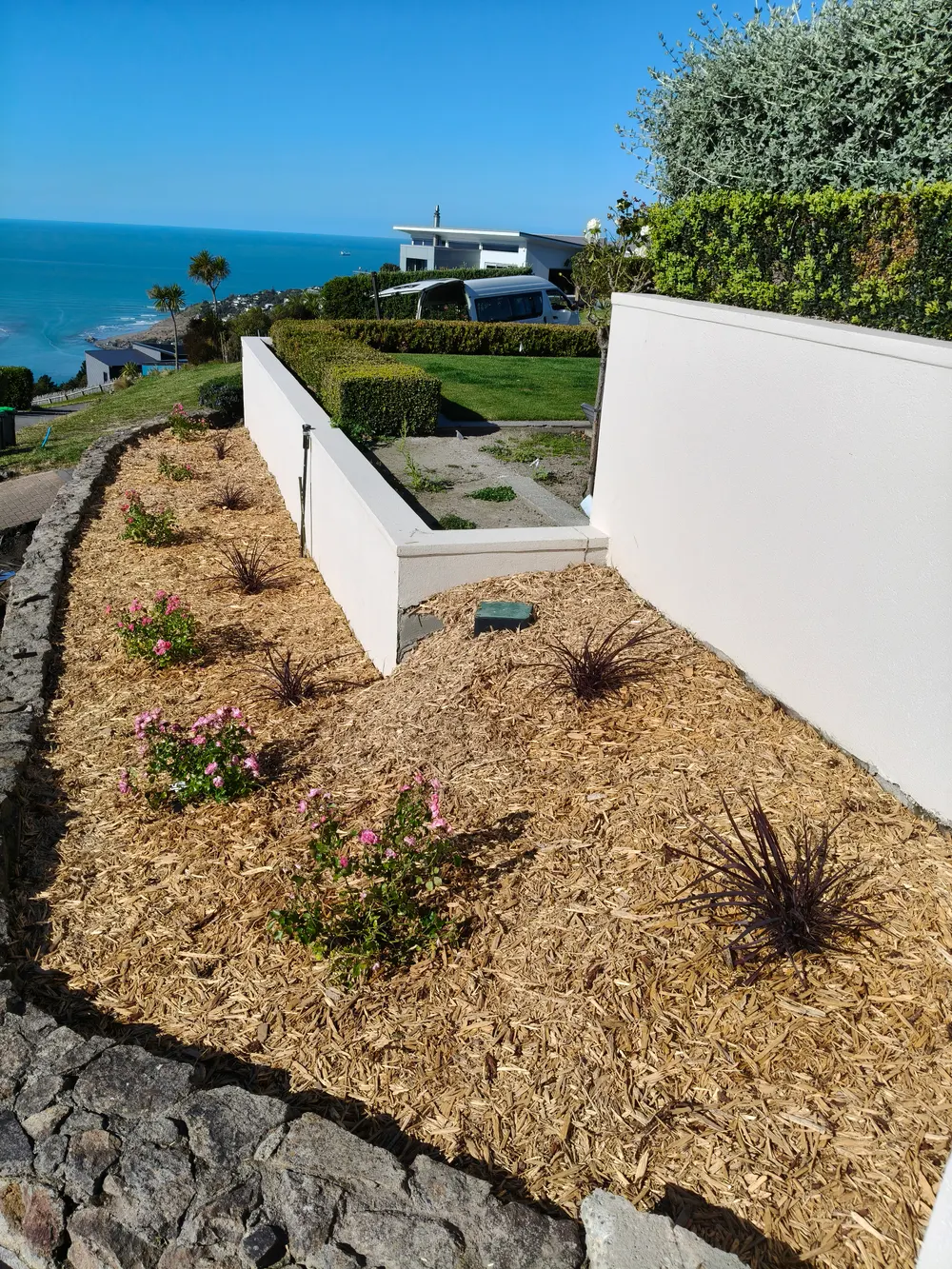 A freshly mulched garden bed against a stone wall, Christchurch