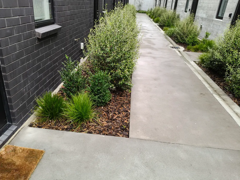 Mulched garden beds along a shared pathway between townhouses, Christchurch